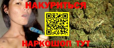 мяу мяу мука Краснознаменск