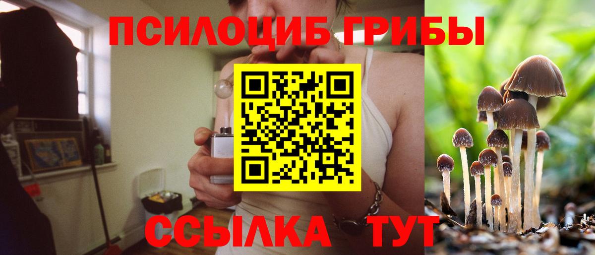 Калуга  Галлюциногенные грибы прущие грибы  Вход с VPN 