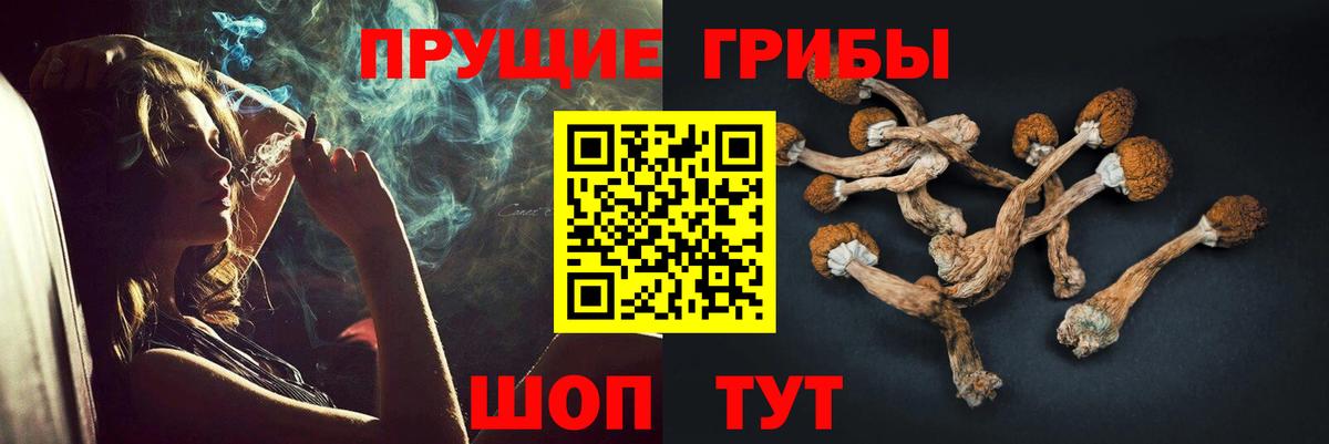 Псилоцибиновые грибы прущие грибы Калуга