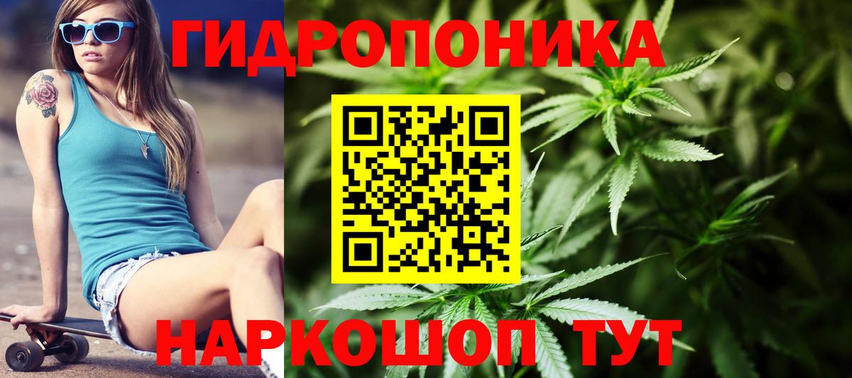 Шишки марихуана план  Бошки Шишки THC 21%  Калуга  Вход с VPN 